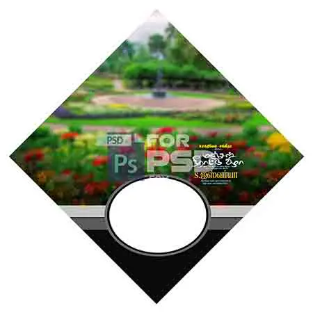 Image Preview